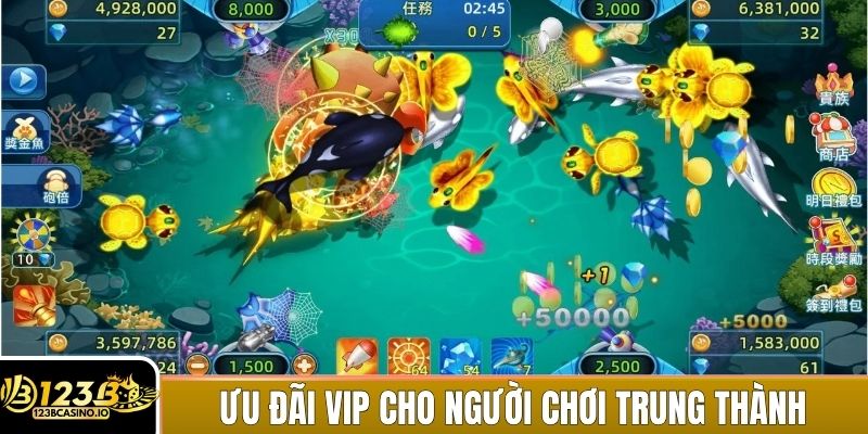 Ưu đãi VIP dành riêng cho người chơi trung thành và thường xuyên