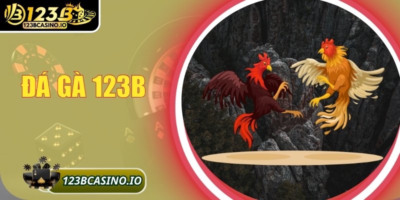 Đá gà 123B