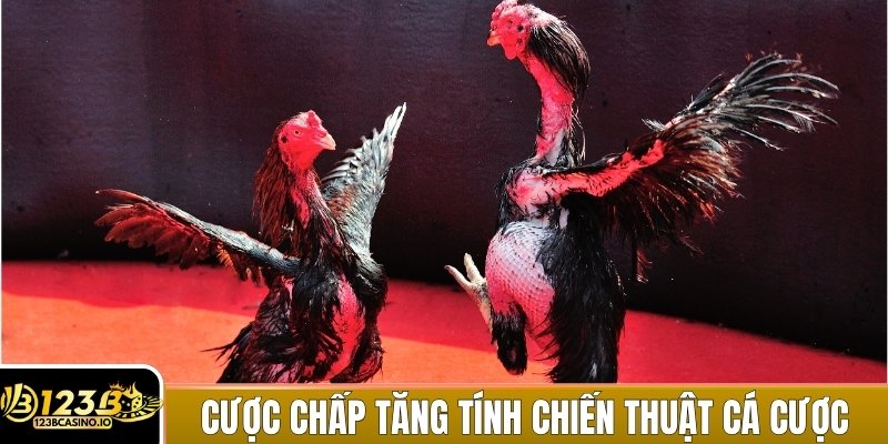 Cược chấp giúp tăng tính chiến thuật trong cá cược