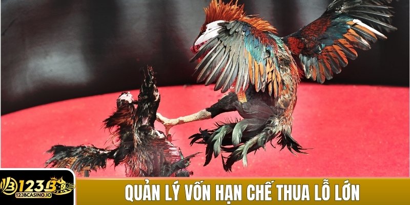 Quản lý vốn hợp lý giúp hạn chế thua lỗ lớn