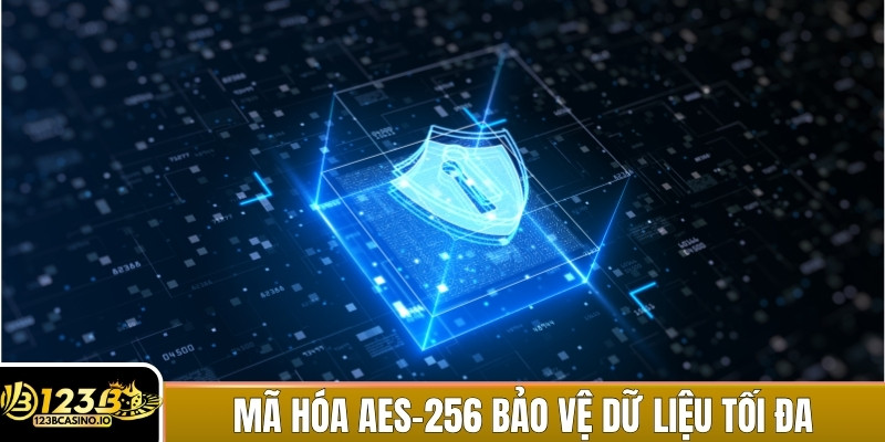Công nghệ mã hóa AES-256 bảo vệ dữ liệu ở mức cao nhất